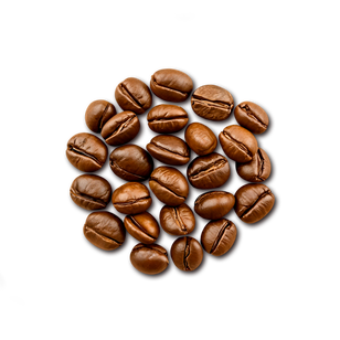Kava