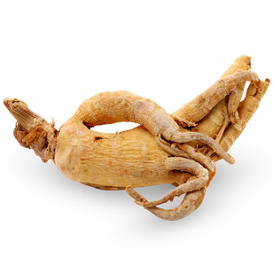 Ameriški ginseng