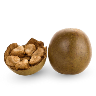 Meniški sadež