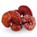 Reishi goba