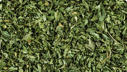 Yerba mate